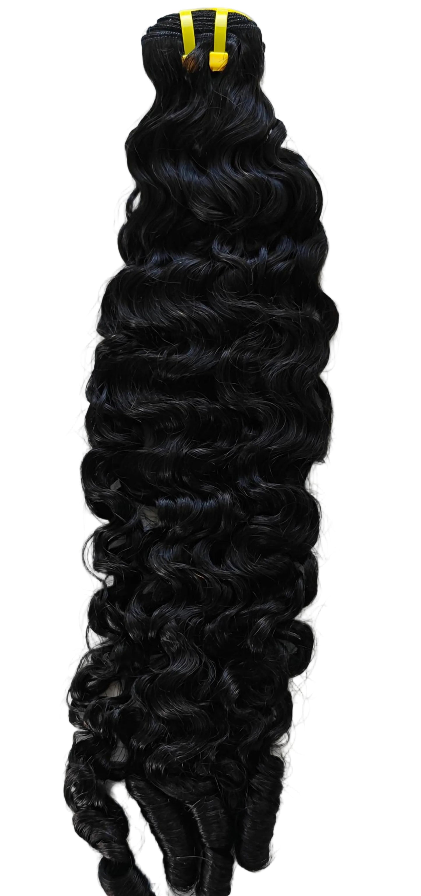 Kinsley: Burmese Curly